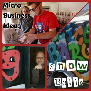 Micro Business Idea: Snowballs