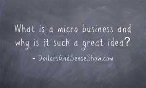 What-is-a-micro-business