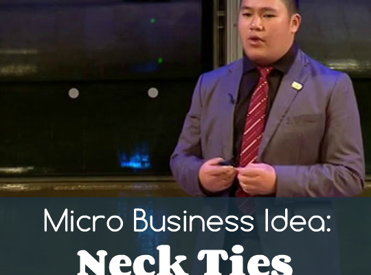 Micro Business Idea: Neck Ties